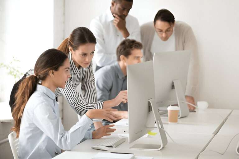 Assignment Help in Ireland